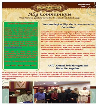 Cover of Alig Communique, volume I